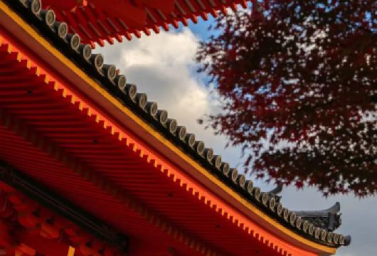 日本京都金阁寺+伏见稻荷大社【中文专车/赏秋精华线路】【尊享一对一高端行程定制，豪华包车专属礼遇，专业旅行顾问24小时恭候垂询。】