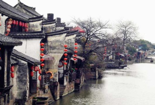 嘉兴+乌镇+西栅夜游一日游 甄选套餐 日游东栅/夜游西栅 【畅游地标景点，寻国家宝藏，赏世界文化遗产，漫游古街感受此座老城慢时光。】