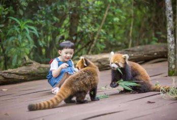 普洱太阳河森林公园+咖啡庄园（6选1）+那柯里 一日游【精品纯玩小团，市区内酒店上门接送，独立用车，出发时间自由灵活，不奔波不赶路，睡醒出发】