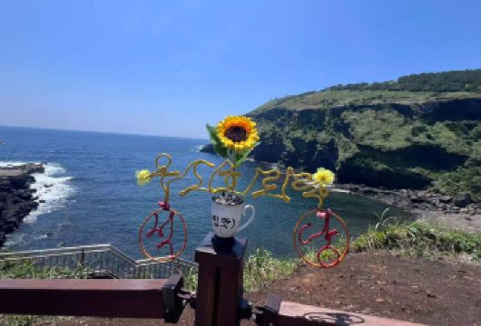 韩国济州1日游，精品包车小团【2人~8人】上门接/纯玩无购物【济州岛一日游， 精品小团，中文服务，纯玩路线】