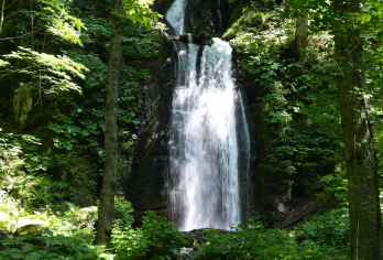 日本·青森秘境 | 八甲田山-奥入濑溪流-十和田湖一日精华游【串联八甲田山、奥入濑溪流与十和田湖三大青森地标，专车随行，行程自由定制，轻松尽览自然绝景。】