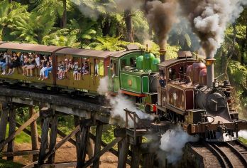 墨尔本奔驰小团一日游-彩色房子+月光动物园蒸汽火车+企鹅归巢【近距离接触当地野生动物】