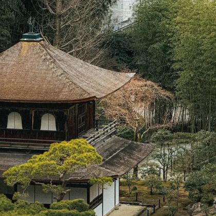 京都一日游:银阁寺-哲学之路-永观堂-南禅寺-祗园花间小路