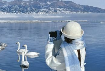 新疆赛里木湖一日游【上门接送·让旅行回归本质】【双起止灵活选，省时高效不赶路】