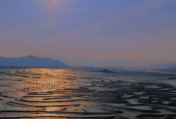 福建霞浦北兜沙滩一日游【半月里、南湾甲骨文、下青山上门接送】【[服务保障] 严选正规资质车辆和司机+陪您追光逐影！ 一对一VIP专车服务/24小时行程管家服务！】