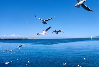 青海湖+日月山+拉脊山一日游【日出团】【1，达人带队，精选线路，深度体验，创新玩法，贴心管家，摄影帮手，路上美景随走随停！】