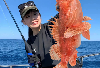 富国岛快艇包船出海一日游【浮潜/海钓/浆板/午餐/酒店接送】【包船出海 行程路线自由，优秀中文导游服务】