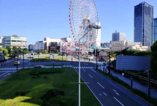 日本东京+横滨港未来21一日游/行程可调-可定制多日【包车一日游，解锁旅行新方式！独立车辆配备经验丰富的老司机，为您量身打造专属行程。】