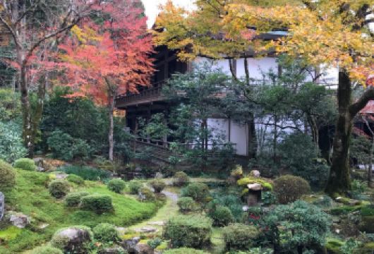 日本京都-琉璃光院-三千院-贵船神社-红叶满天 京都巡礼【专业行程定制，精选热门景点，高效游玩不走回头路，贴心服务保障，轻松】