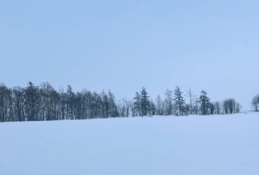 日本北海道旭川美瑛｜白须瀑布｜孤独圣诞树｜札幌往返｜中文专车【尊享一对一高端行程定制，多日豪华包车专属礼遇，专业旅行顾问24小时恭候垂询。】