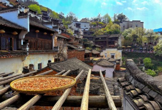 江西婺源篁岭景区汽车纯玩半日游（可选班次）【纯玩无购物】