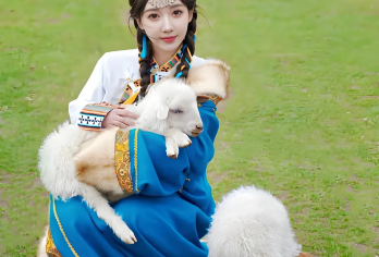 香格里拉【真纯玩、网红大经幡、豪华土司宴、返程高速】一日游【缤纷景点：松赞林寺、依拉草原、虎跳峡、大转经筒。】