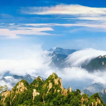 平顶山市区包车往返｜尧山-叶县县衙-平顶山博物馆一日包车游