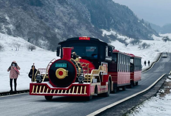 【冰雪季】武隆仙女山玩雪一日游·赠暖宝宝+保暖手套【坐小火车逛大草原、打卡网红波浪公路，轻松玩转武隆好风光！】