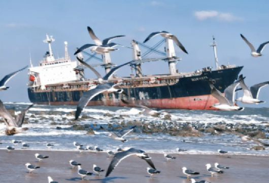 火炬八街+那香海一日游【网红打卡路线|来一场说走就走的旅行】【[品质保障]纯玩无购物 | 精游浪漫威海，留下威海日落】