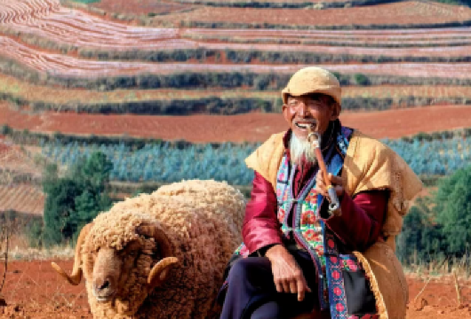 昆明+东川红土地【核心景点一览无憾，领略红土大观，小清新亦或是苍凉大片等你来拍】