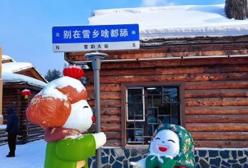 雪乡一日游0购【VIP精品团~巴士赠餐航拍~马拉爬犁】◆M【亮点一：马拉爬犁或ATV驰骋雪原，邂逅雪地孔雀，再与梦幻大雪人合影，超长雪滑梯的尖叫刷爆朋友圈！】