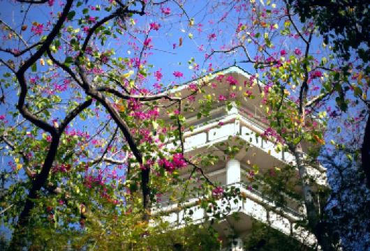 攀枝花公园+迤沙村+金沙江大峡谷观观景台【2人起订独立用车】【独立小包团 上门接送】