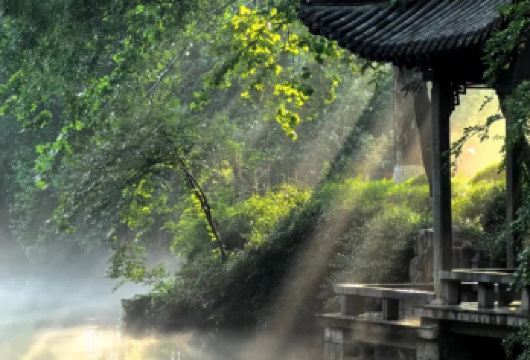 淄博出发济南迎春花灯会+趵突泉大明湖+泉城广场+芙蓉街一日【看济南七十二泉中的[天下第一泉]趵突泉】