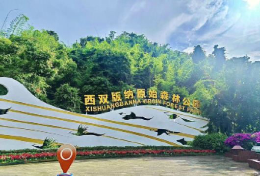 西双版纳原始森林公园丛林飞跃一日游【A段/B段+接送】【2人起订，根据实际下单人数安排对应车辆】