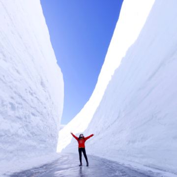 2026年立山黑部雪一日巴士游【金泽出发】
