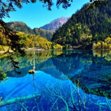 【绵阳起止高端团】九寨沟景区游玩八小时一日游