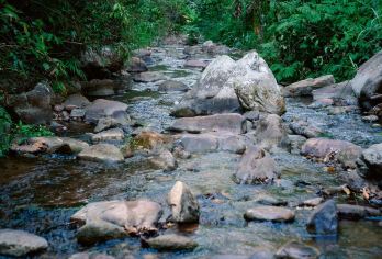西双版纳纳卡雨林一日游【徒步+荒野厨房+ATV+志愿活动】【小众原始雨林|自己动手制作荒野厨房雨林餐】