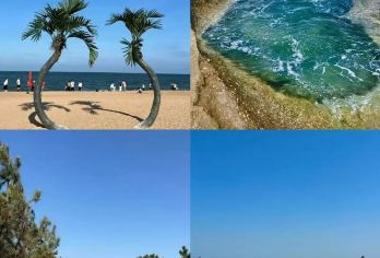 日照包车一日游+灯塔+世帆赛基地+万平口+太公岛牡蛎公园【私家团一对一，不拼团，独立成团，专业司机高素养】