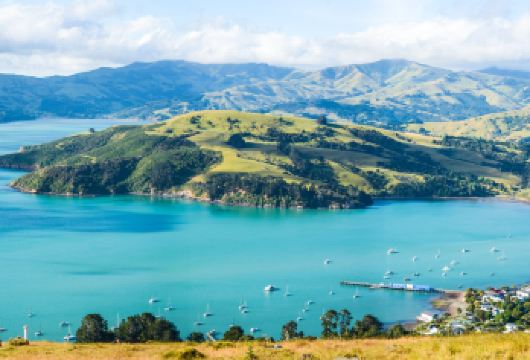 新西兰阿卡罗阿羊驼农场+坐船观海豚｜基督城出发｜行程可调【尊享一对一高端行程定制，多日豪华包车专属礼遇，专业旅行顾问24小时恭候垂询。】