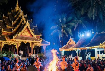 西双版纳野象谷+曼听公园一日游【精品6人小团+市区上门接送】【探秘野象谷，邂逅野生大象；漫步曼听公园，领略傣王御花园的美丽风情，一日游超满足。】