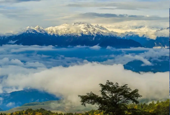 雅安包车地陪导游翻译地接陪同接送旅游展会商务考察陪诊【雅安包车地陪导游翻译地接陪同接送旅游展会商务考察陪诊】