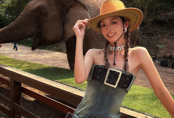 野象谷+傣族园一日游【15人团·集合点上车·纯玩团】【集合点轻松上车，开启精品日游，全程纯玩无购物，省心省力畅玩野象谷与傣族园。】