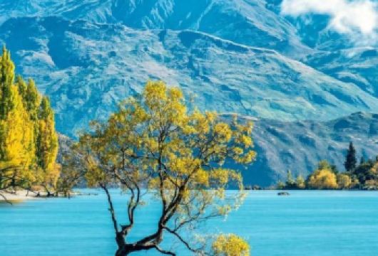 新西兰皇后镇-米尔福德峡湾-中文司导包车一日游-12H【精选热门景点，高效游玩不走回头路，深度了解文化内涵，贴心服务保障，轻松享受旅程，性价比超高的旅行。】