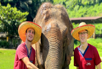 清迈Ran-Tong大象保护中心半日游【午餐丨导游丨接送】【让您冉通大象体验之旅成为难忘的行程体验】