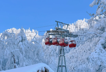 二郎山喇叭河风景区一日游【2-6人独立团|纯玩|含门票 】【[品质承诺]亲子游必选，成都三环内免费接送~】