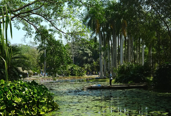 中科植物园+电瓶车+傣族园泼水票 西双版纳无套路一日游跟团游【傣族泼水】