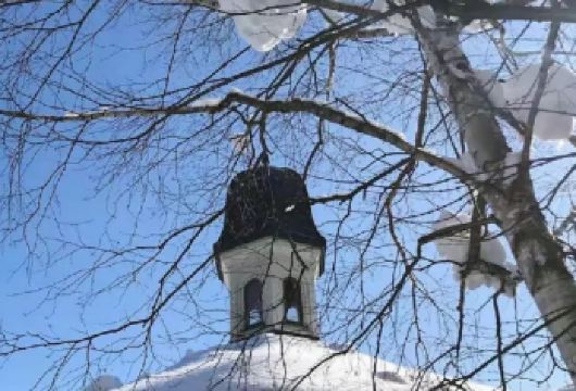 日本北海道+旭山+森林精灵阳台一日游/行程可调-可定制【专属客服和本地中文司机，一家一团包车】