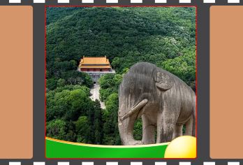 【万卷说·文史讲师】本地旅行社+南京明孝陵+2h人工讲解【[签约讲师]持有国家导游证\讲解证，一线工作经验10年以上，有责任心，能根据听众的兴趣，灵活讲解。】