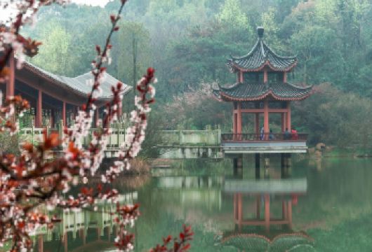 长沙地陪/外语导游：博物馆+岳麓书院+爱晚亭 外宾接待EA【全程中文/英文/俄语/法语/韩语/葡萄牙语服务，沟通无障碍，景点可调】