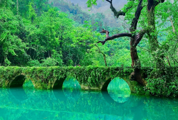 【高端豪华团+上门接送】荔波小七孔+大七孔景区包团一日游【[独立包团]一单一团 不与陌生人拼团】