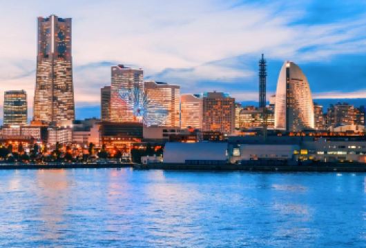 日本东京+横滨港未来21一日游/行程可调-可定制多日【包车一日游，解锁旅行新方式！独立车辆配备经验丰富的老司机，为您量身打造专属行程。】