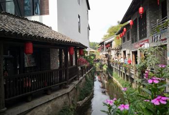 甘坑古镇＋中英街＋弘法寺仙湖植物园＋大梅沙海滨公园纯玩一日游【市区免费上门接，免去出行烦恼，一单一团。具体上车点咨询客服。】