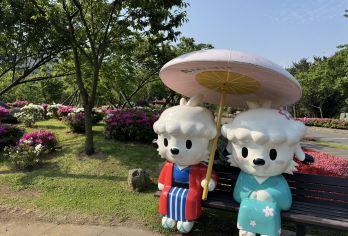 探索阳明山&北投一日游（中英导览 I 西门町出发)【游览北台湾美丽的阳明山风光，领略大自然的鬼斧神工之美】