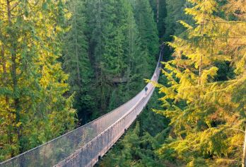 加拿大温哥华市区一日游+唐人街·皮卡拉诺吊桥公园·史丹利公园【[都市经典全景游览] 一站式囊括温哥华代表性标志性景点，一次旅程全方位】