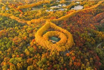 南京总统府+明孝陵+美龄宫梧桐道+中山陵景区+音乐台+夫子庙【[精选景点]封顶18人精品团，钟山风景区重要景点一网打尽，打卡网红梧桐大道，总统府寻金陵故事！】