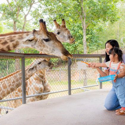 临沂动植物园一日游【8人小团青少年综合实践基地】