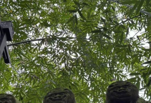 成都熊猫基地+武侯祠+宽窄巷子+杜甫草堂包车一日游【行程灵活定制，适配多元需求，可私人定制行程】