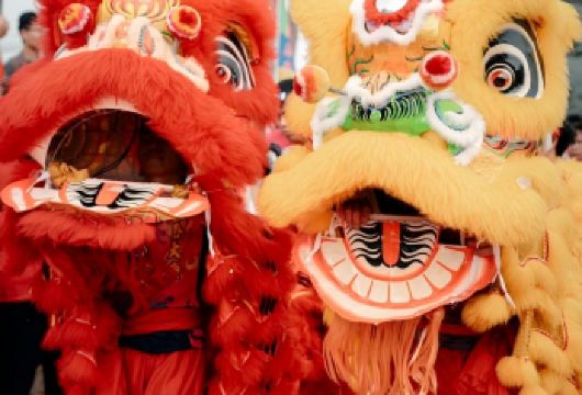 茂名高州包车10小时一日游|打卡岭南凤凰园+粤龙山+仙人洞【专车一日内无缝衔接三大风格迥异的自然与人文景观，省时省力】