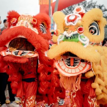 茂名出发打卡高州岭南凤凰园+粤龙山+仙人洞包车一日游