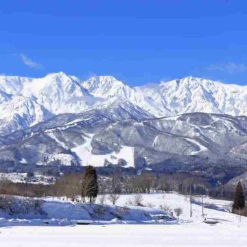 日本长野市白马滑雪场+仓下温泉一日包车品质游（东京出发）